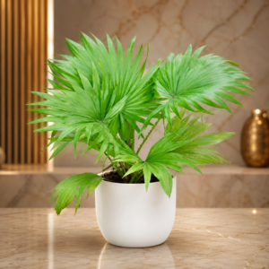 Lush Tropical Plant Trio