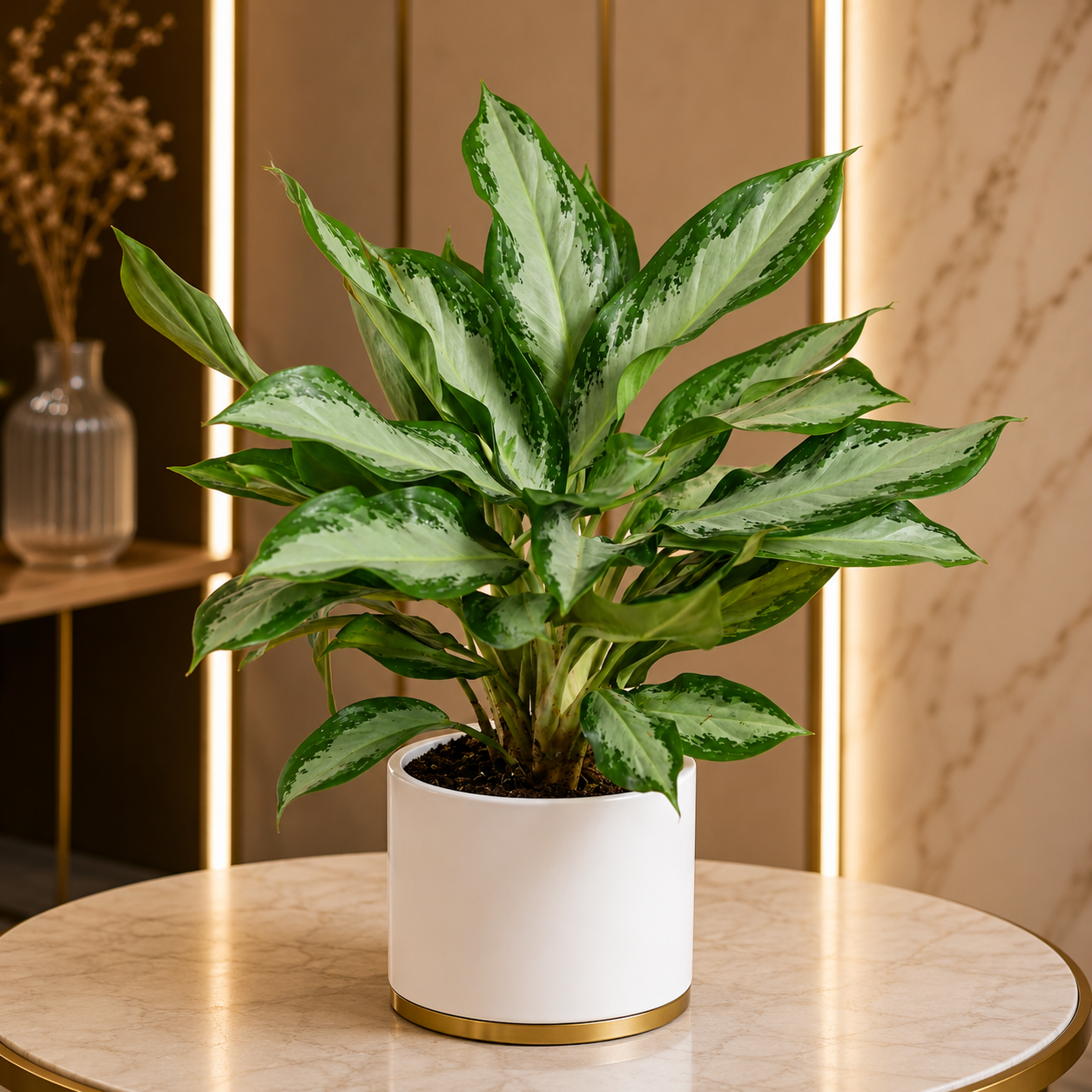 Premium Indoor Foliage Trio
